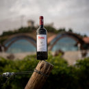 Pack de 12 Botellas — Protos Roble