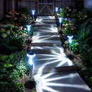 luz Solar Celestial - kit com 5 unidades