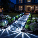 luz Solar Celestial - kit com 5 unidades