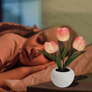 lámpara Tulipa LED  5 em 1 🌷 - Elegância e Charme em Cada Detalhe