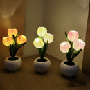 lámpara Tulipa LED  5 em 1 🌷 - Elegância e Charme em Cada Detalhe