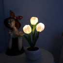 lámpara Tulipa LED  5 em 1 🌷 - Elegância e Charme em Cada Detalhe