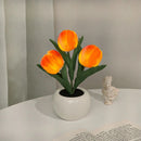 lámpara Tulipa LED  5 em 1 🌷 - Elegância e Charme em Cada Detalhe