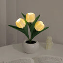 lámpara Tulipa LED  5 em 1 🌷 - Elegância e Charme em Cada Detalhe